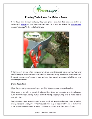Pruning Techniques for Mature Trees