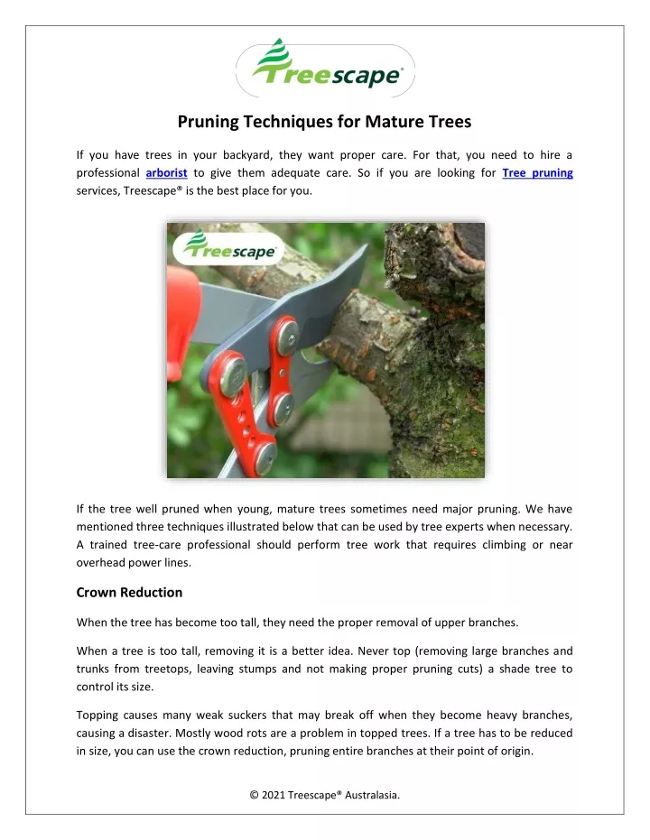 pruning techniques for mature trees