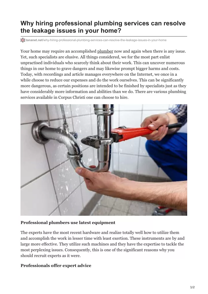 why hiring professional plumbing services