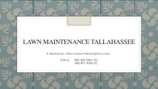 Lawn Maintenance Tallahassee