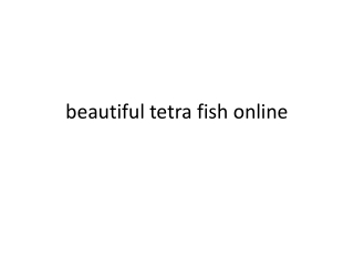 beautiful tetra fish online