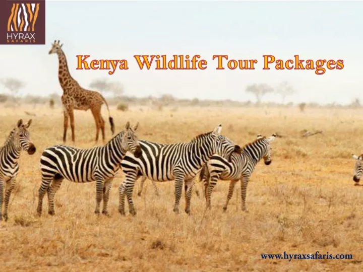 kenya wildlife tour packages
