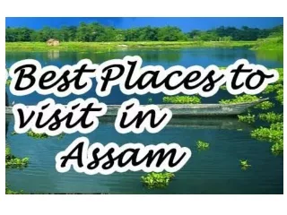 4 Best Place to Visit in Assam