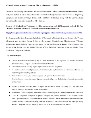 critical infrastructure protection market