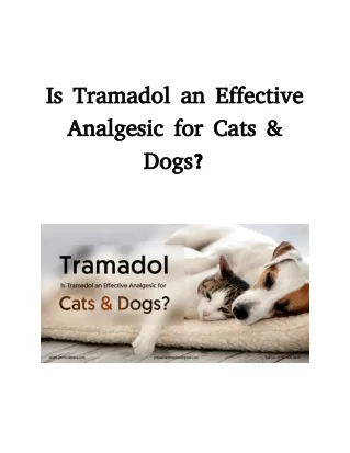 Is Tramadol an Effective Analgesic for Cats & Dogs?