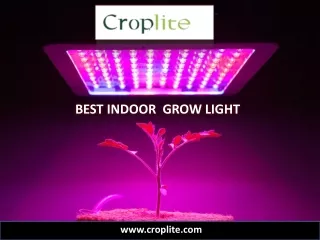 Best Indoor Grow Light