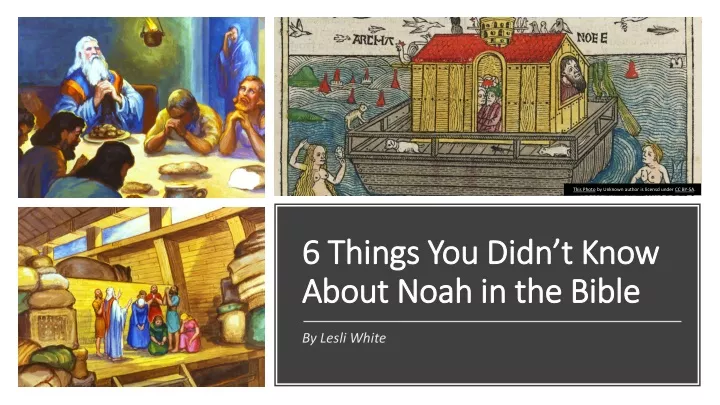 6 things you didn t know about noah in the bible