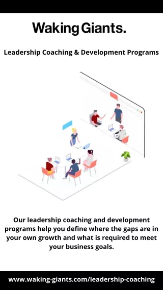 leadership coaching development programs