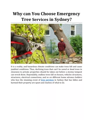 Why can You Choose Emergency Tree Services in Sydney?