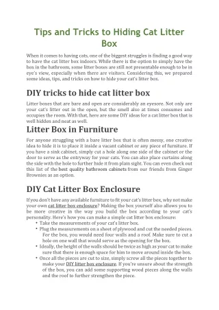 Tips and Tricks to Hiding Cat Litter Box