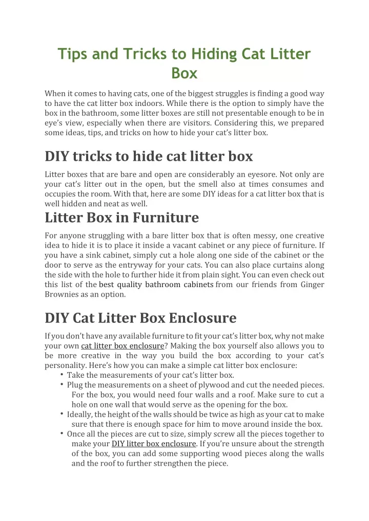 tips and tricks to hiding cat litter box