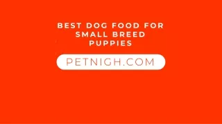 BEST DOG FOOD FOR SMALL BREED PUPPIES