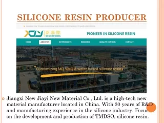 silicone resin producer