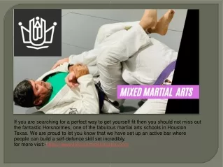 martial arts schools in houston tx | martial arts near me