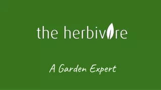 a garden expert