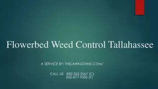 Flowerbed Weed Control Tallahassee