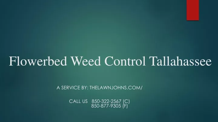 flowerbed weed control tallahassee