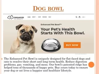 dog bowl
