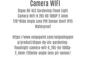 Camera WIFI