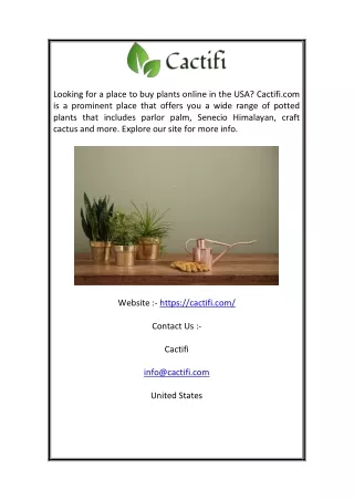 Potted Plants for Sale Online USA | Cactifi.com