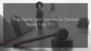 Top Family Law Lawyers In Toronto -  Separy Law P.C.