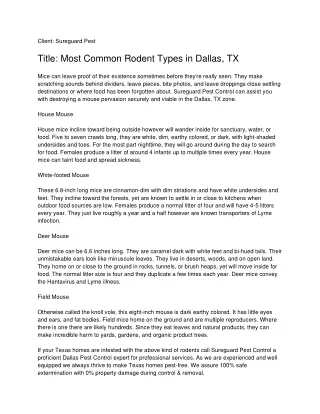 Dallas Wildlife Control | Dallas Spider Control