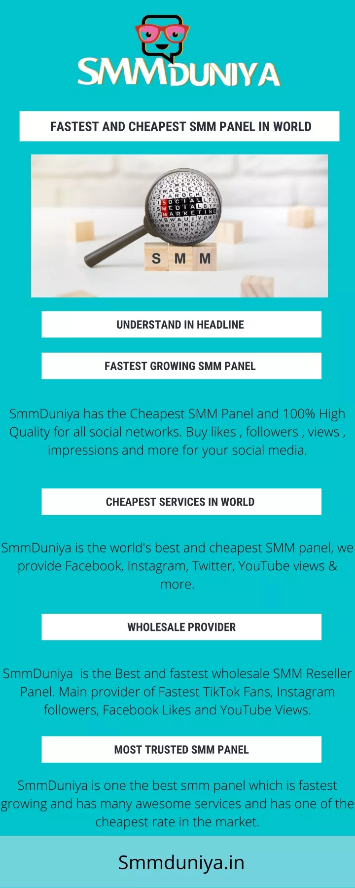 fastest and cheapest smm panel in world