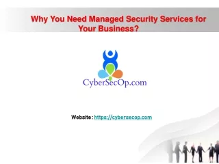 Managed Security Services, Managed IT Security Services, CSO Security Consulting Services | CyberSecOp