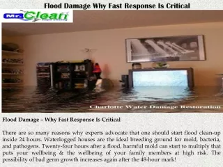 flood damage why fast response is critical