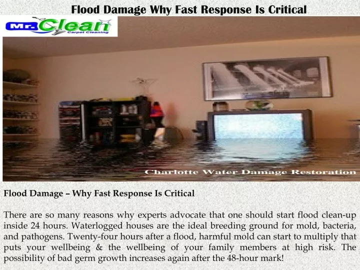 flood damage why fast response is critical