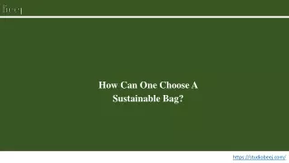 How Can One Choose A Sustainable Bag?
