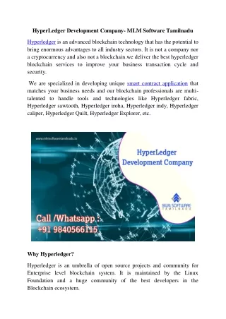 hyperledger development company mlm software