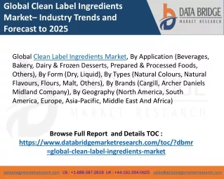 global clean label ingredients market industry