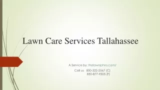 Lawn Care Services Tallahassee