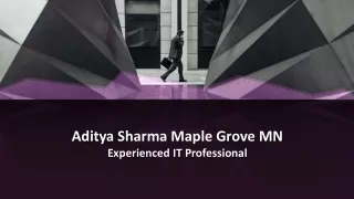 Aditya Sharma Maple Grove MN - Experienced IT Professional