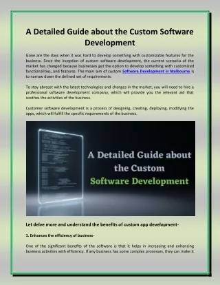 a detailed guide about the custom software