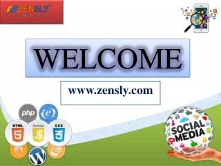 No.1 Digital Marketing Company in Delhi India  Zensly