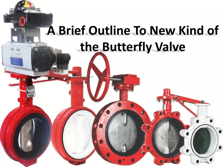 a brief outline to new kind of the butterfly valve