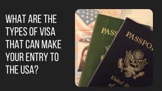 What are the types of visa that can make your entry to the USA?