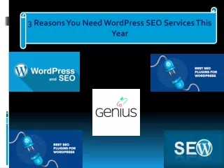 3 Reasons You Need WordPress SEO Services This Year