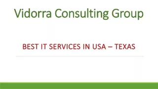 vidorra consulting group