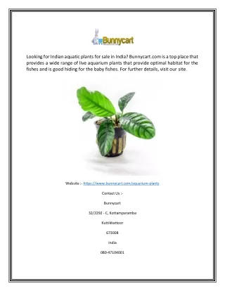 looking for indian aquatic plants for sale