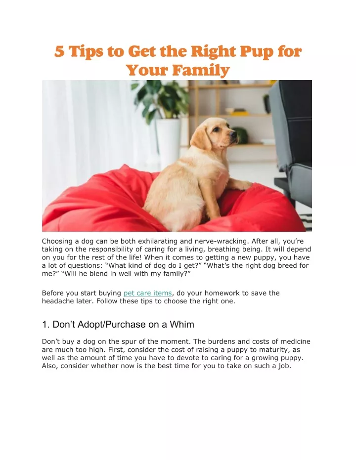 5 tips to get the right pup for your family