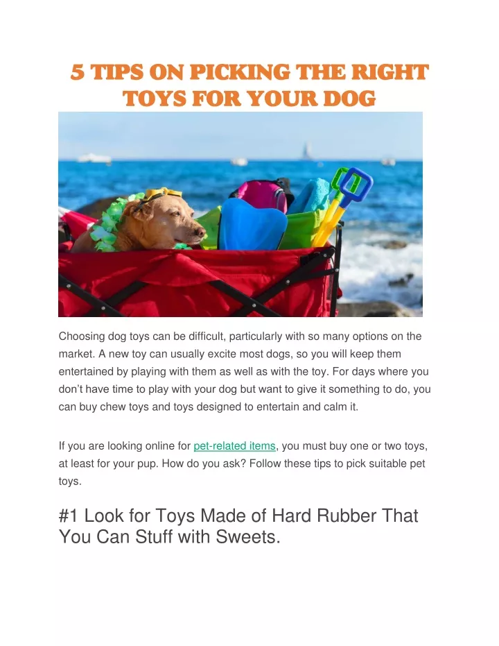 5 tips on picking the right toys for your dog