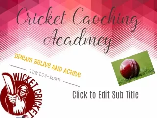 cricket coaching
