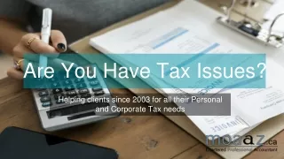 professional tax accountant -file you taxes return now - ontario
