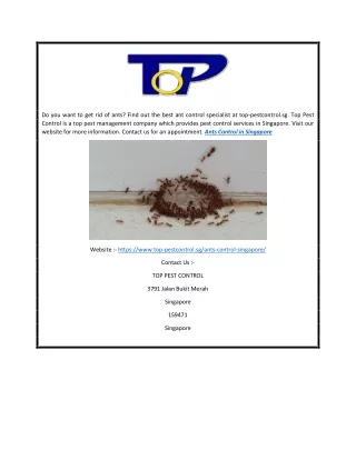 do you want to get rid of ants find out the best