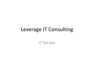 leverage it consulting