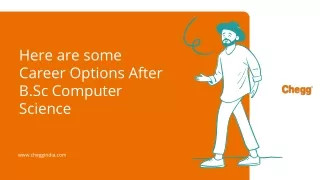 here are some career options after b sc computer
