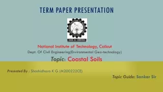 term paper presentation